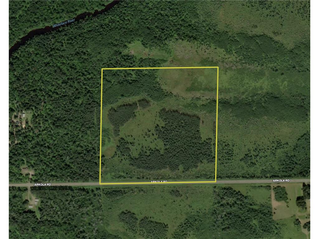 TBD Arkola Rd. Cotton MN 55724 6752347 image51