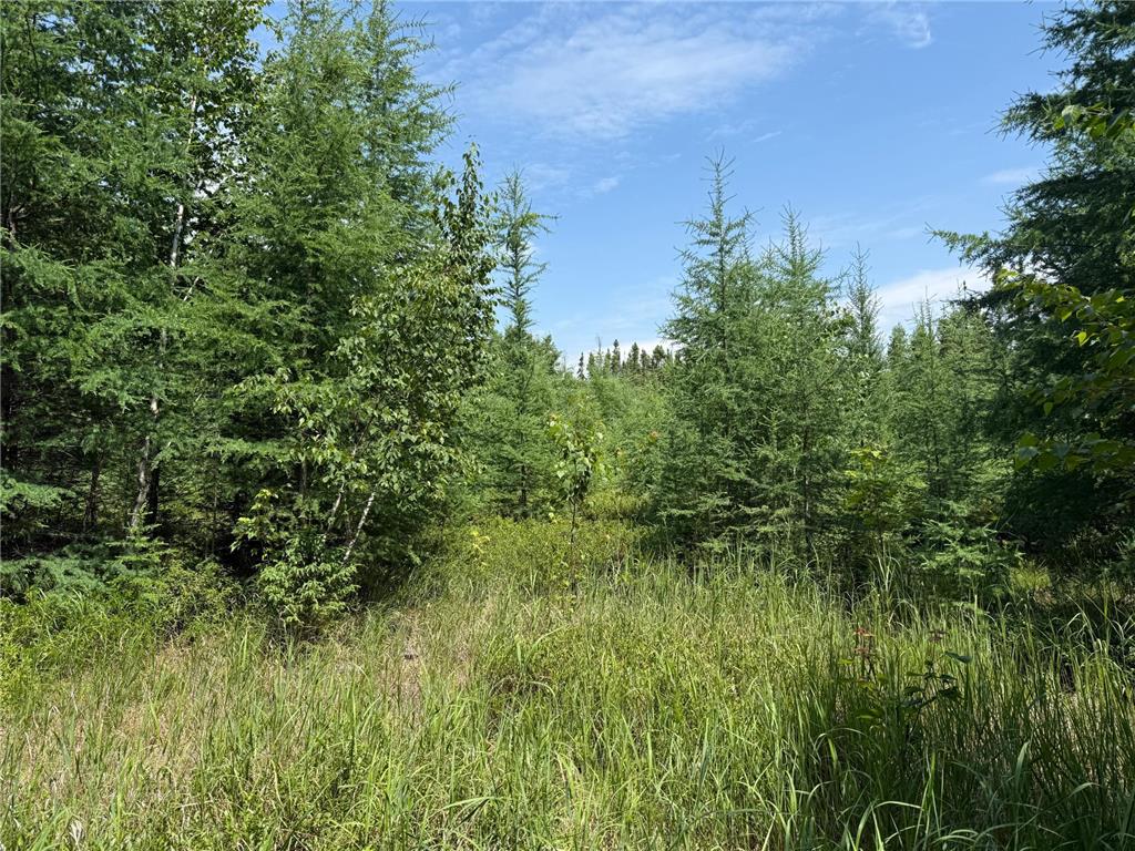 TBD Arkola Rd. Cotton MN 55724 6752347 image6