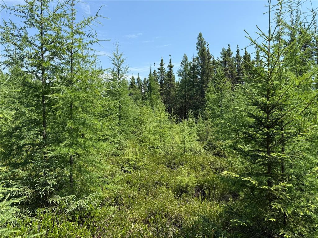 TBD Arkola Rd. Cotton MN 55724 6752347 image9