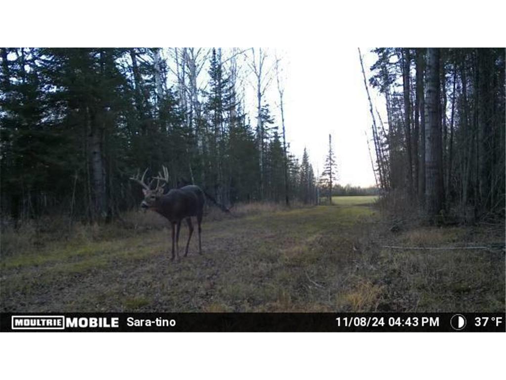 TBD Arkola Road Toivola MN 55765 7021760 image19