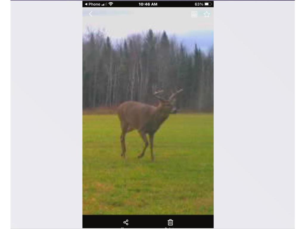 TBD Arkola Road Toivola MN 55765 7021760 image21