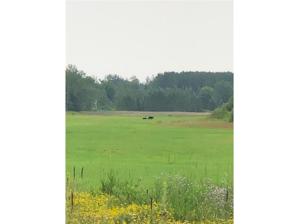 TBD Arkola Road Toivola MN 55765 7021760 image22