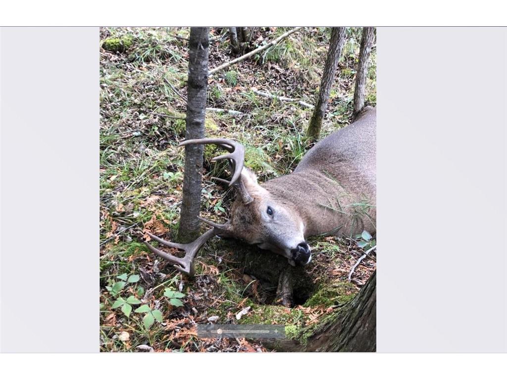 TBD Arkola Road Toivola MN 55765 7021760 image23