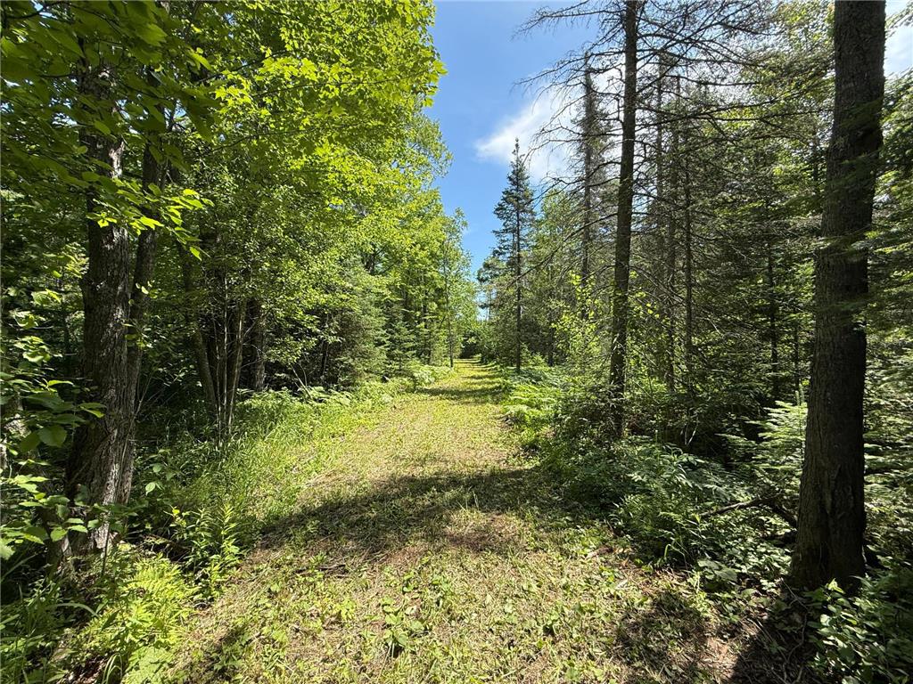 TBD Arnold Rd. Duluth MN 55803 - Lester River 7092663 image13