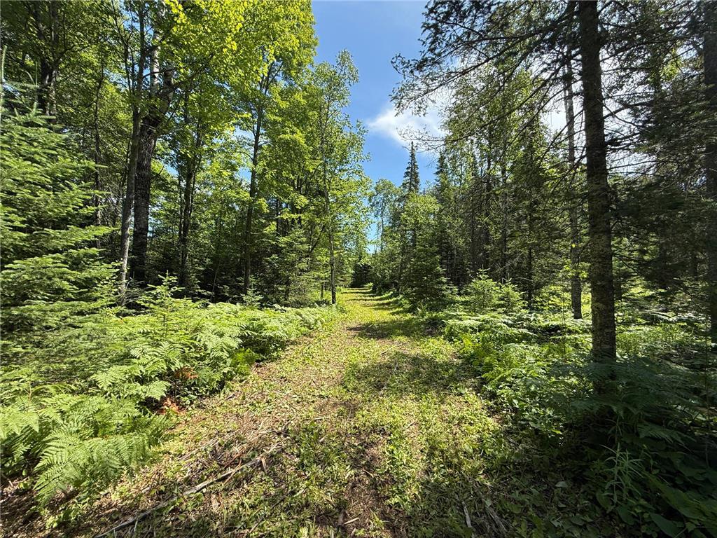 TBD Arnold Rd. Duluth MN 55803 - Lester River 7092663 image14