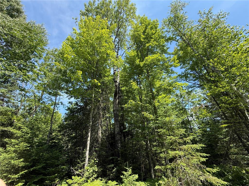 TBD Arnold Rd. Duluth MN 55803 - Lester River 7092663 image15