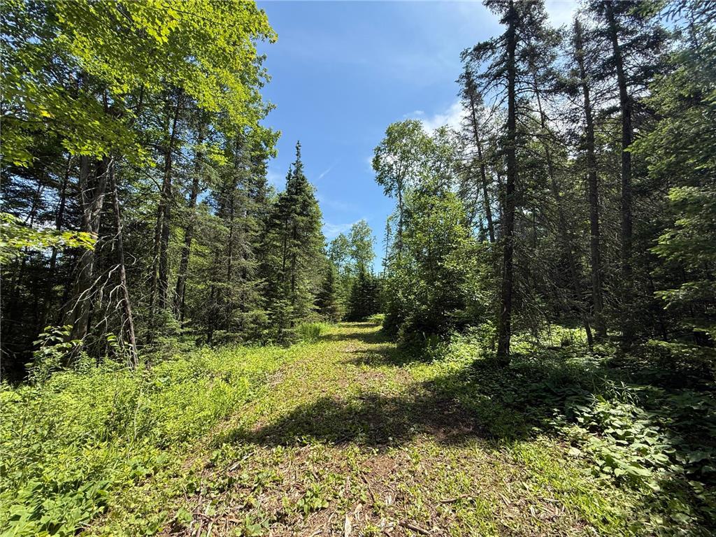 TBD Arnold Rd. Duluth MN 55803 - Lester River 7092663 image16