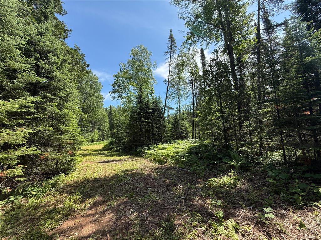 TBD Arnold Rd. Duluth MN 55803 - Lester River 7092663 image17