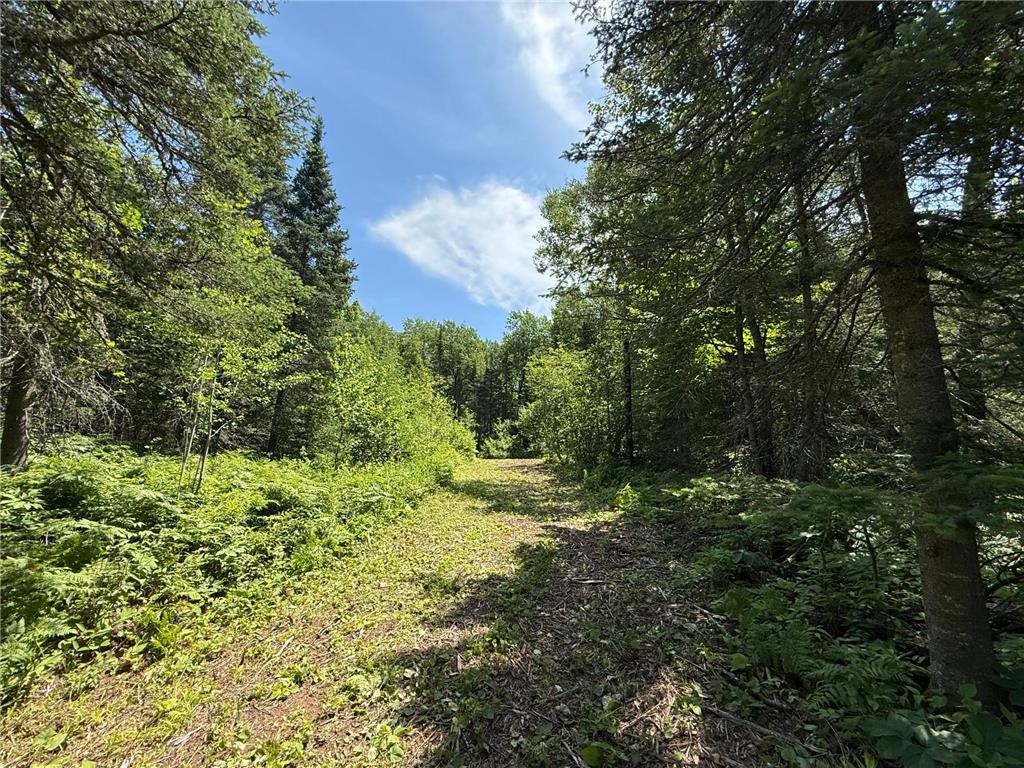 TBD Arnold Rd. Duluth MN 55803 - Lester River 7092663 image21