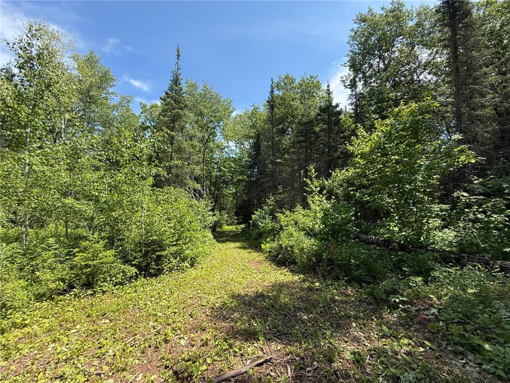 TBD Arnold Rd. Duluth MN 55803 - Lester River 7092663 image22