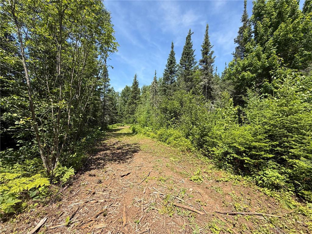 TBD Arnold Rd. Duluth MN 55803 - Lester River 7092663 image23
