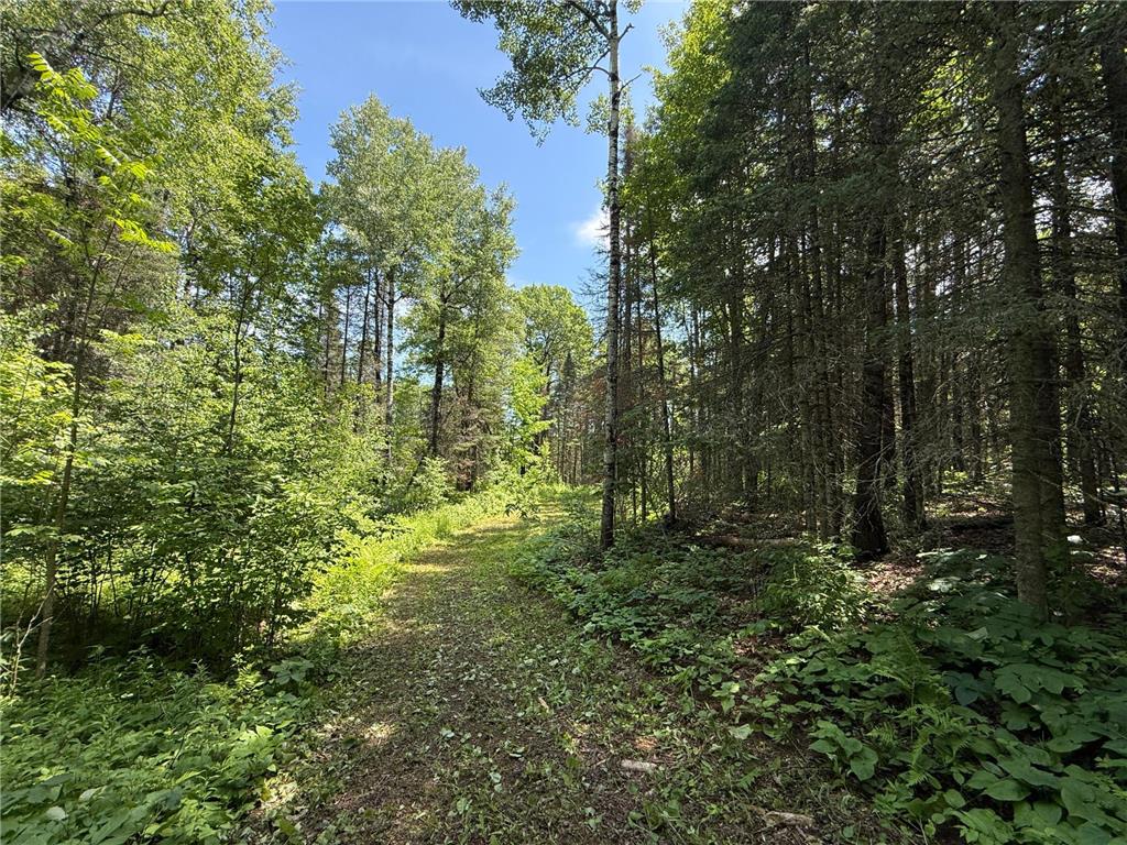TBD Arnold Rd. Duluth MN 55803 - Lester River 7092663 image25