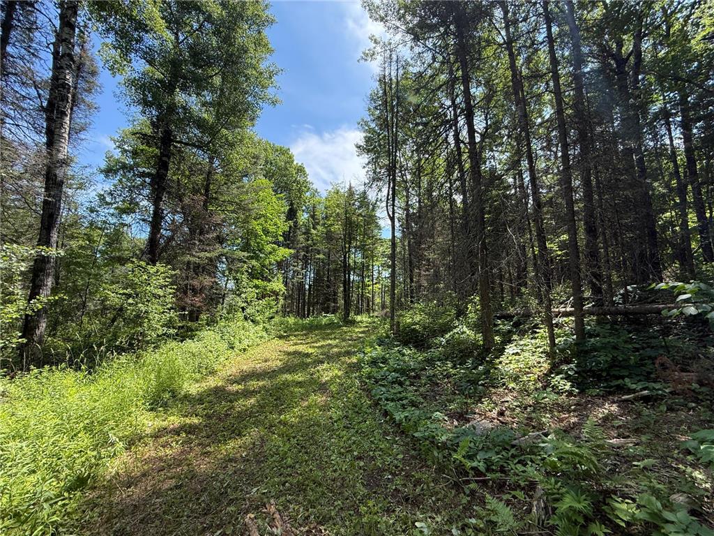 TBD Arnold Rd. Duluth MN 55803 - Lester River 7092663 image26
