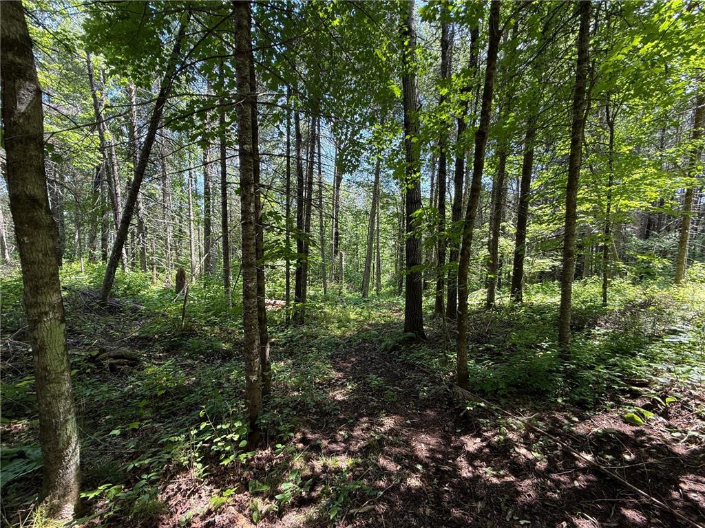TBD Arnold Rd. Duluth MN 55803 - Lester River 7092663 image27