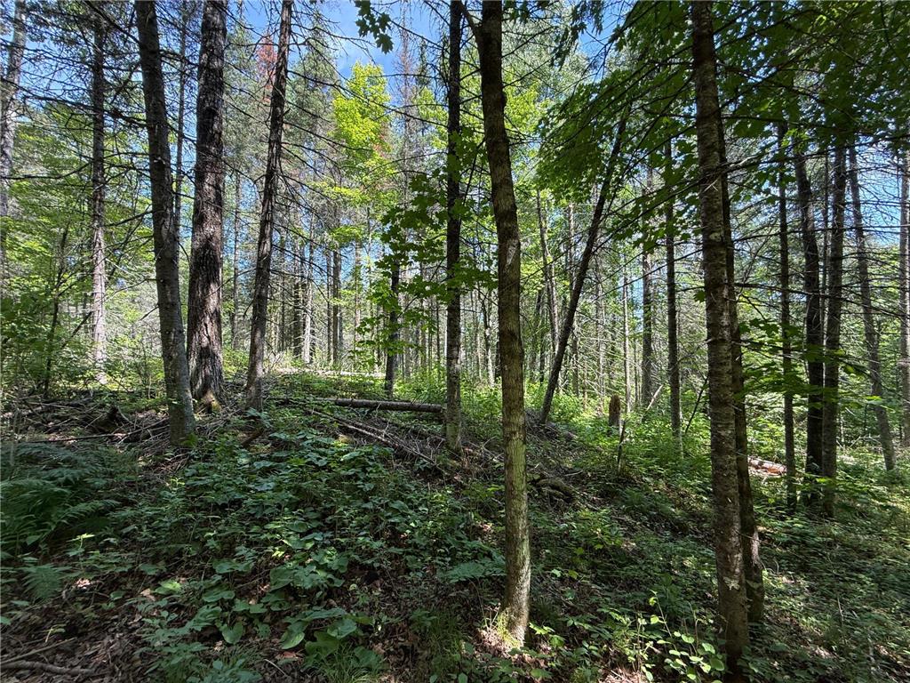 TBD Arnold Rd. Duluth MN 55803 - Lester River 7092663 image28