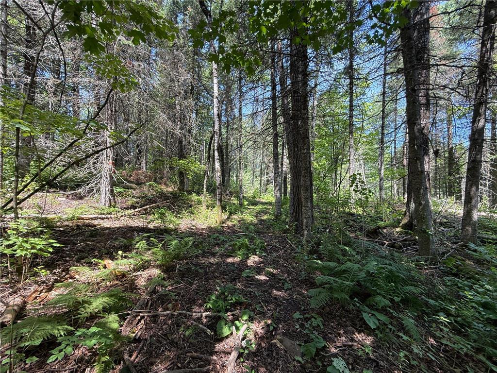 TBD Arnold Rd. Duluth MN 55803 - Lester River 7092663 image29