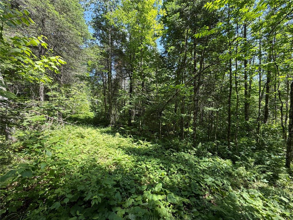 TBD Arnold Rd. Duluth MN 55803 - Lester River 7092663 image30