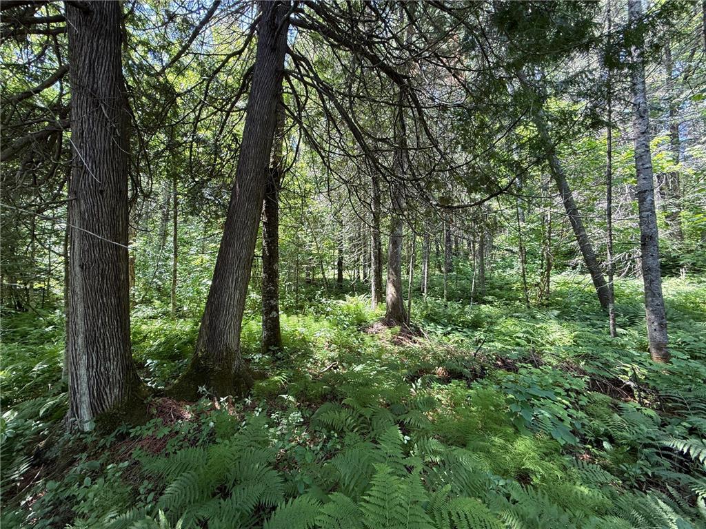 TBD Arnold Rd. Duluth MN 55803 - Lester River 7092663 image34
