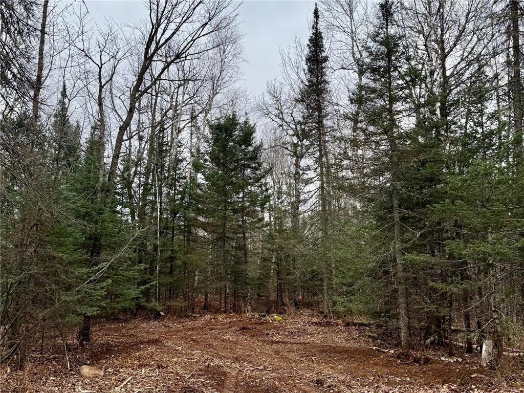 TBD Arnold Rd. Duluth MN 55803 - Lester River 7092663 image41