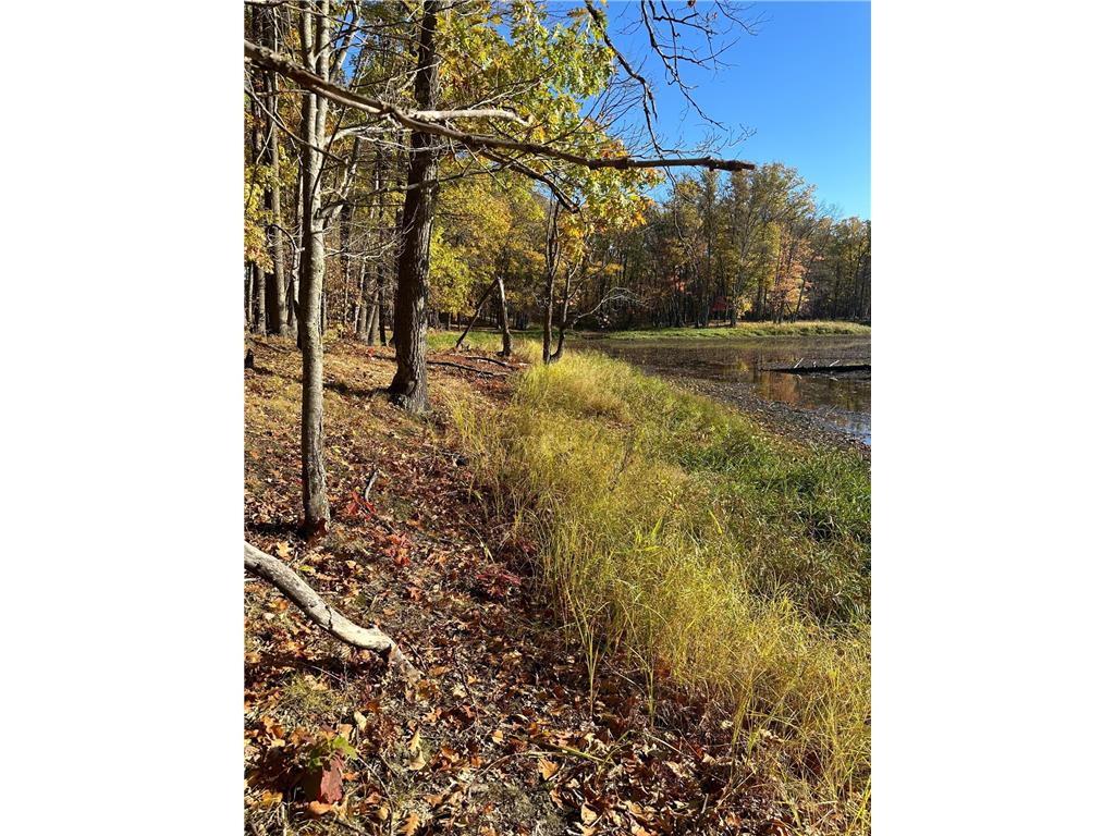 TBD Arrow Drive SW Meadowbrook Twp MN 56466 - Ackerson 6448692 image1