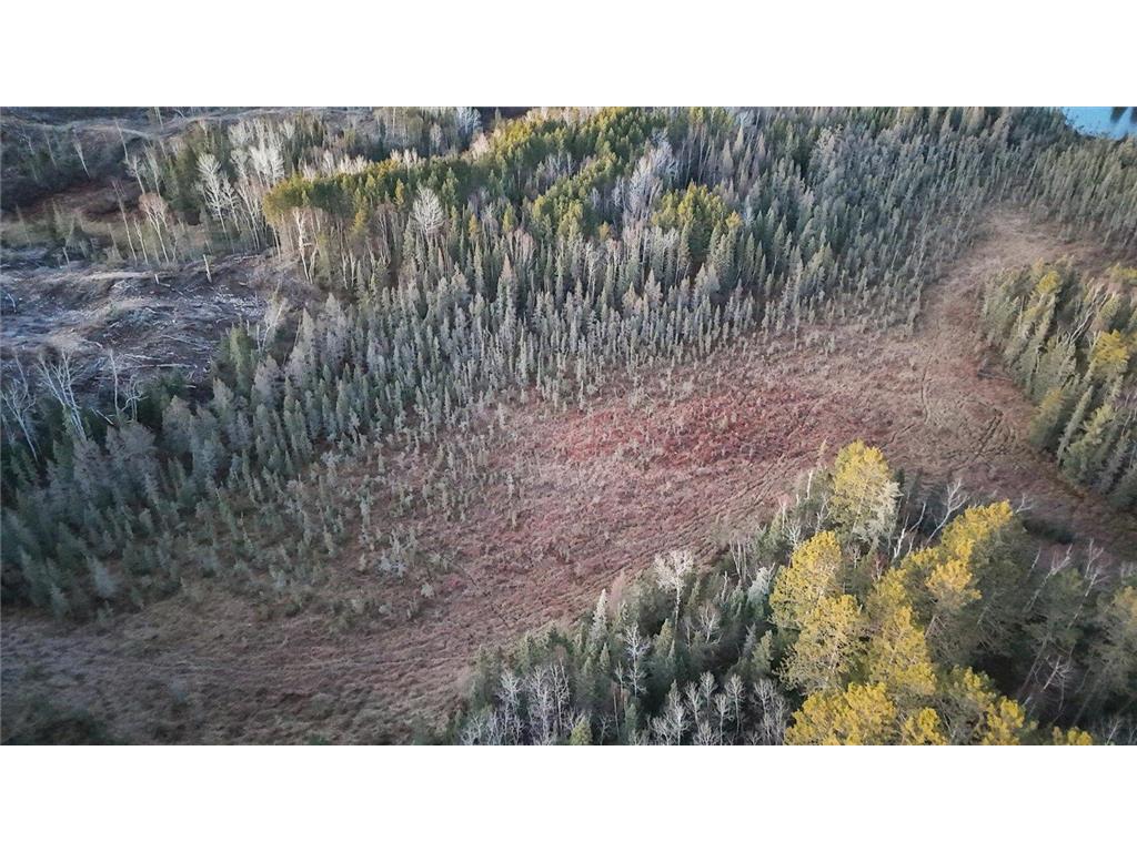 TBD Arthur Lake Babbitt MN 55706 - Arthur 6820133 image27