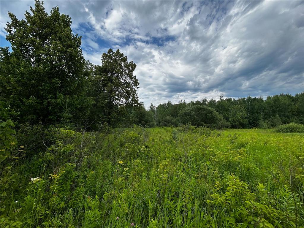 TBD Ash Street Federal Dam MN 56641 6778822 image2