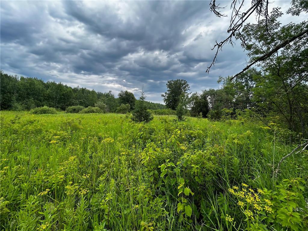 TBD Ash Street Federal Dam MN 56641 6778822 image3