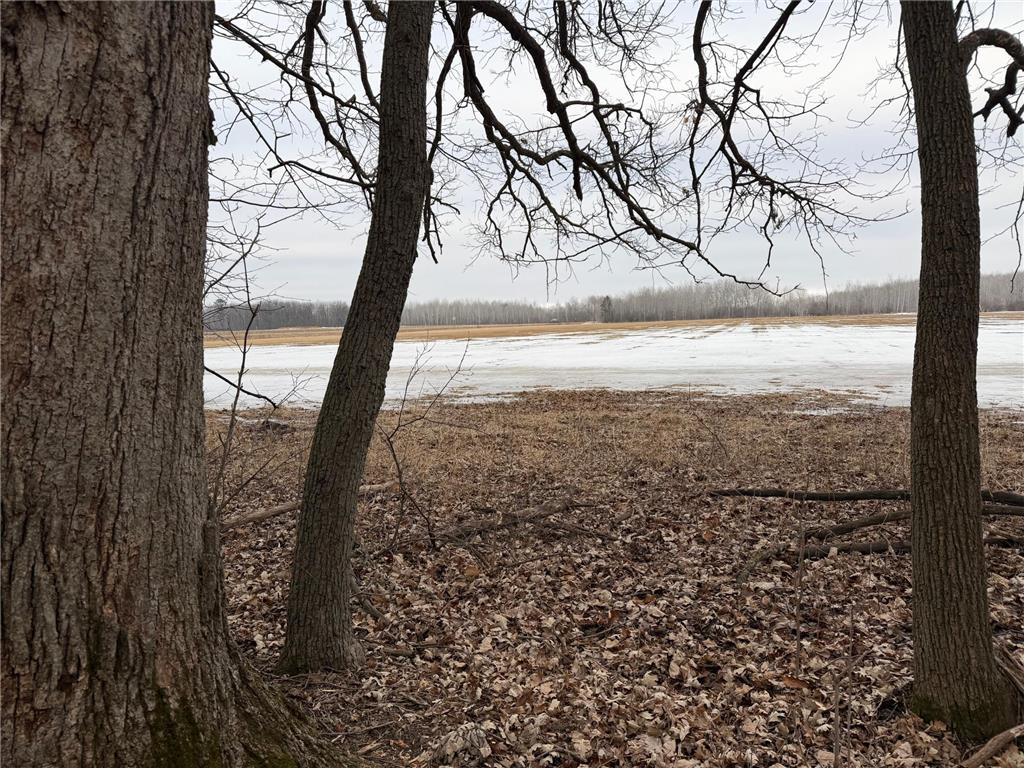 TBD-B 180th Street Borgholm Twp MN 56353 7029939 image1