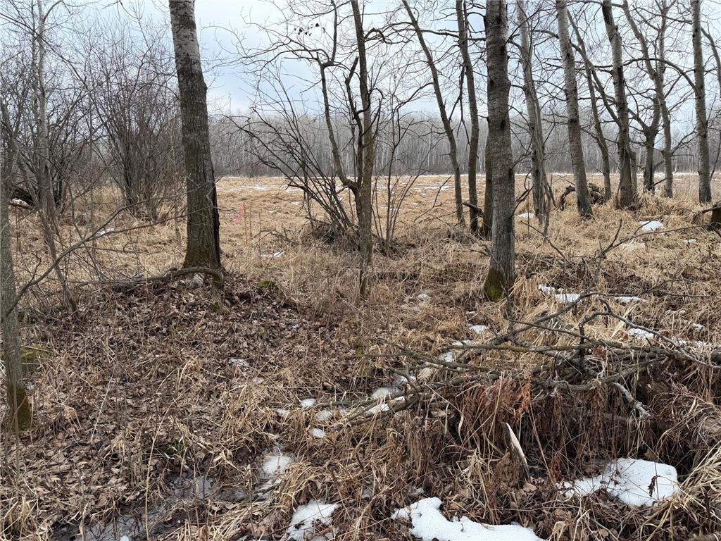 TBD-B 180th Street Borgholm Twp MN 56353 7029939 image10