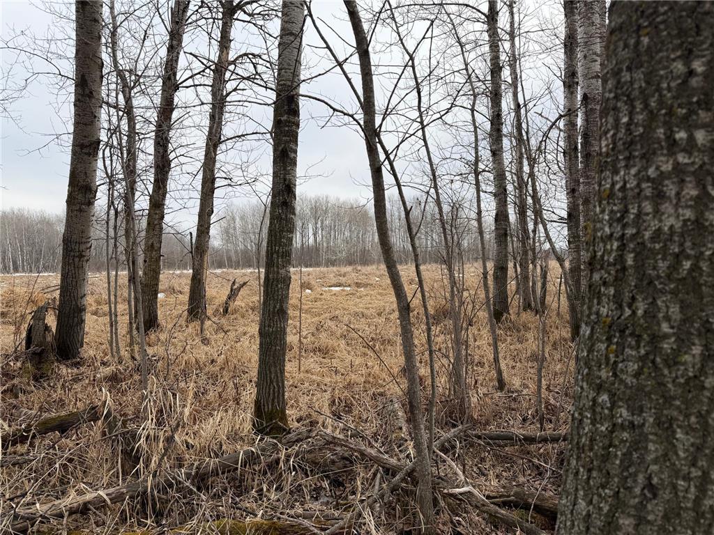 TBD-B 180th Street Borgholm Twp MN 56353 7029939 image11