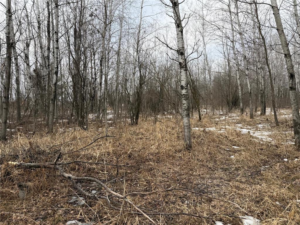TBD-B 180th Street Borgholm Twp MN 56353 7029939 image12
