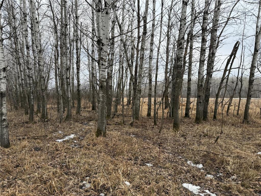 TBD-B 180th Street Borgholm Twp MN 56353 7029939 image13