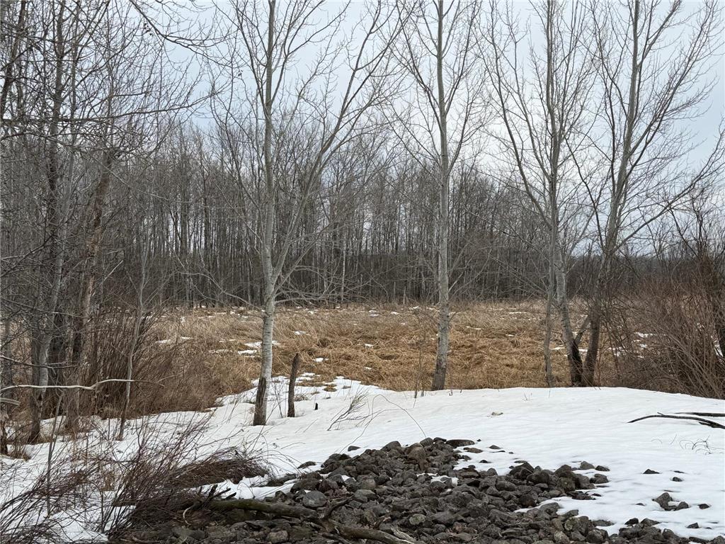 TBD-B 180th Street Borgholm Twp MN 56353 7029939 image14