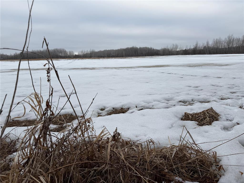 TBD-B 180th Street Borgholm Twp MN 56353 7029939 image19