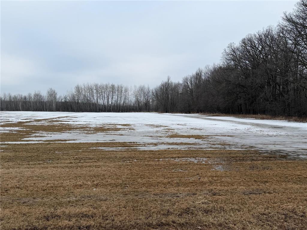 TBD-B 180th Street Borgholm Twp MN 56353 7029939 image2