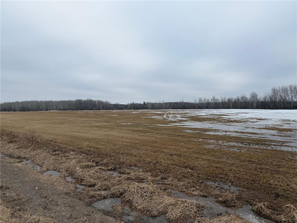 TBD-B 180th Street Borgholm Twp MN 56353 7029939 image20