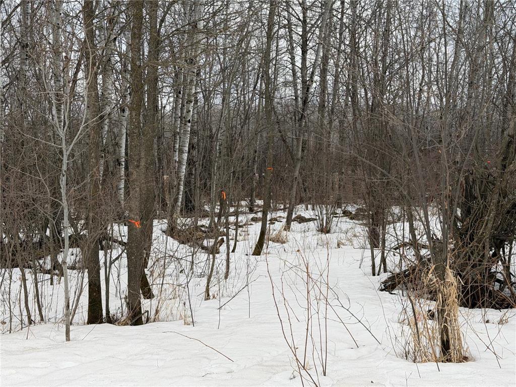 TBD-B 180th Street Borgholm Twp MN 56353 7029939 image22