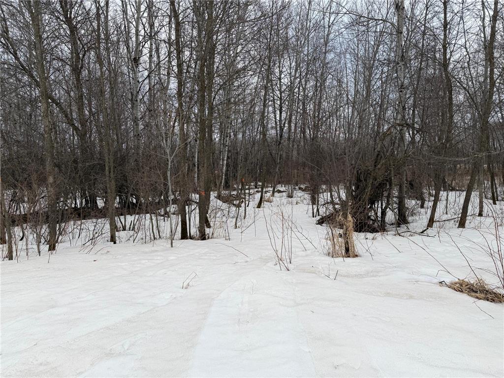 TBD-B 180th Street Borgholm Twp MN 56353 7029939 image23