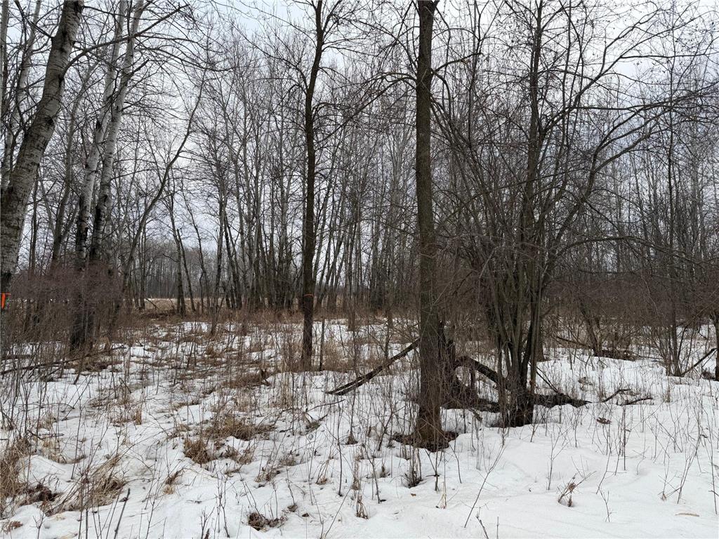 TBD-B 180th Street Borgholm Twp MN 56353 7029939 image24