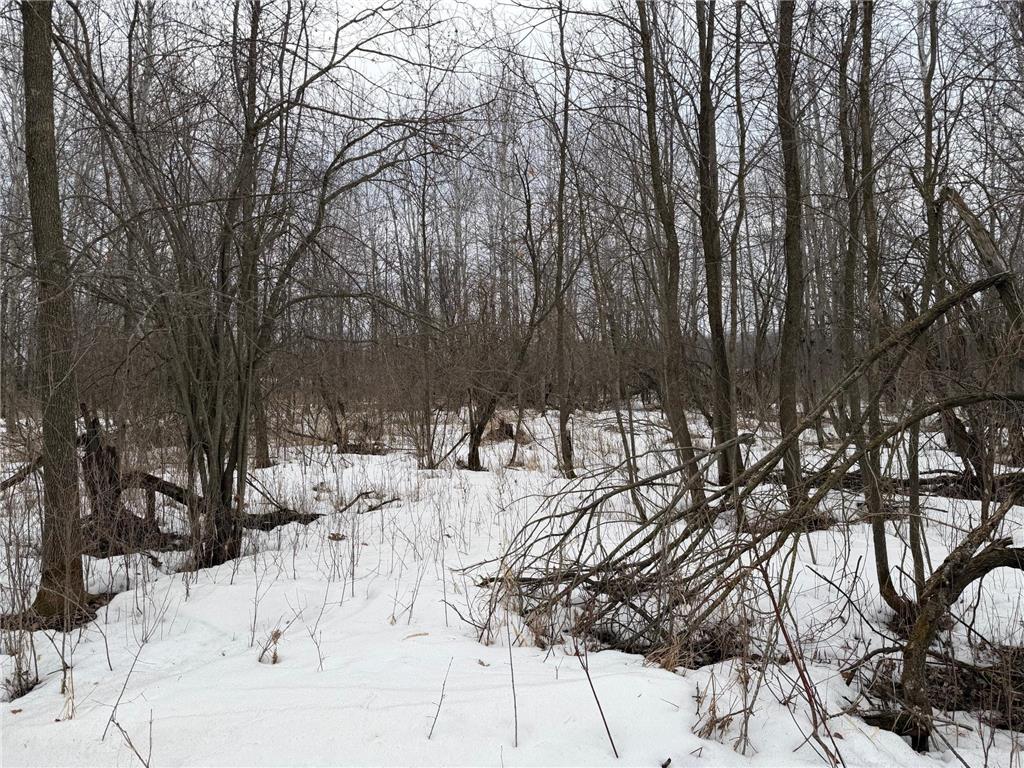 TBD-B 180th Street Borgholm Twp MN 56353 7029939 image25