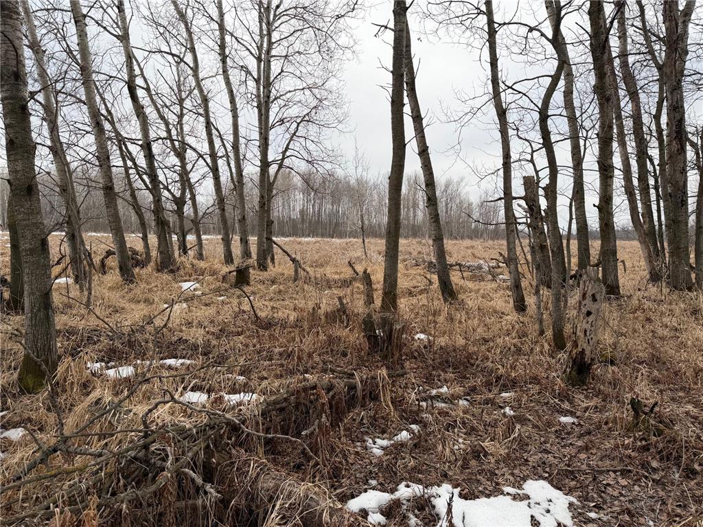 TBD-B 180th Street Borgholm Twp MN 56353 7029939 image26