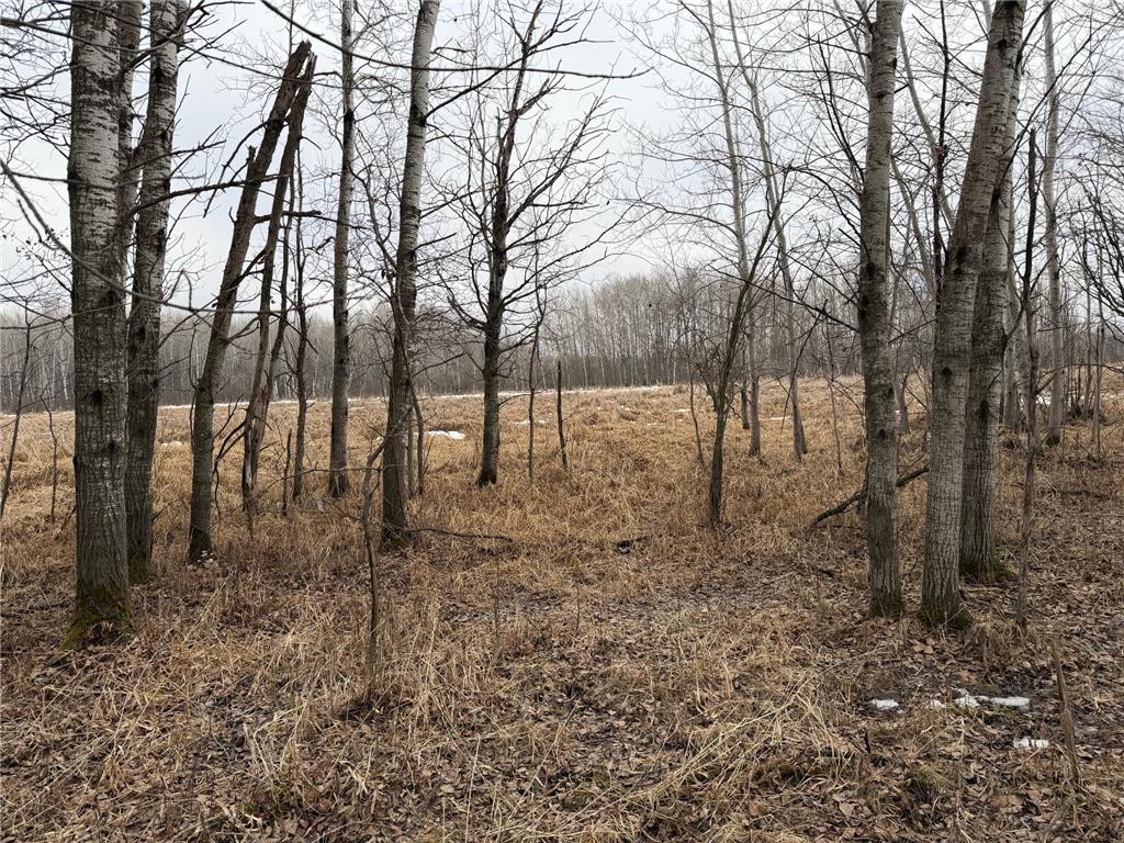 TBD-B 180th Street Borgholm Twp MN 56353 7029939 image28