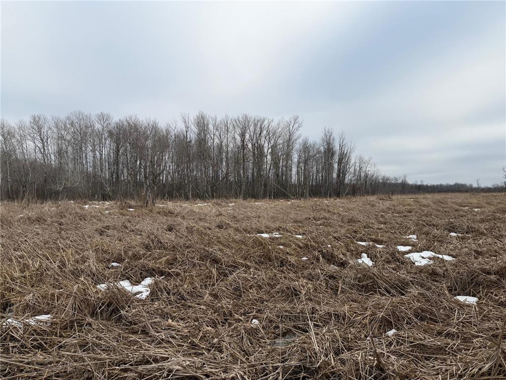 TBD-B 180th Street Borgholm Twp MN 56353 7029939 image29