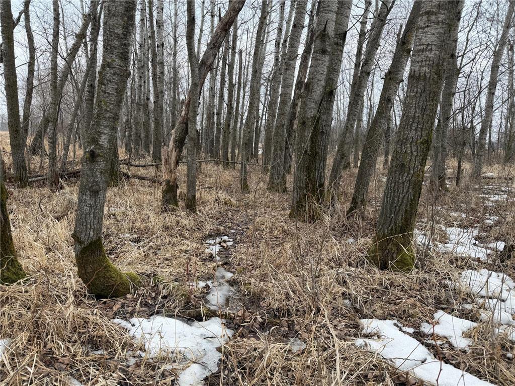 TBD-B 180th Street Borgholm Twp MN 56353 7029939 image3