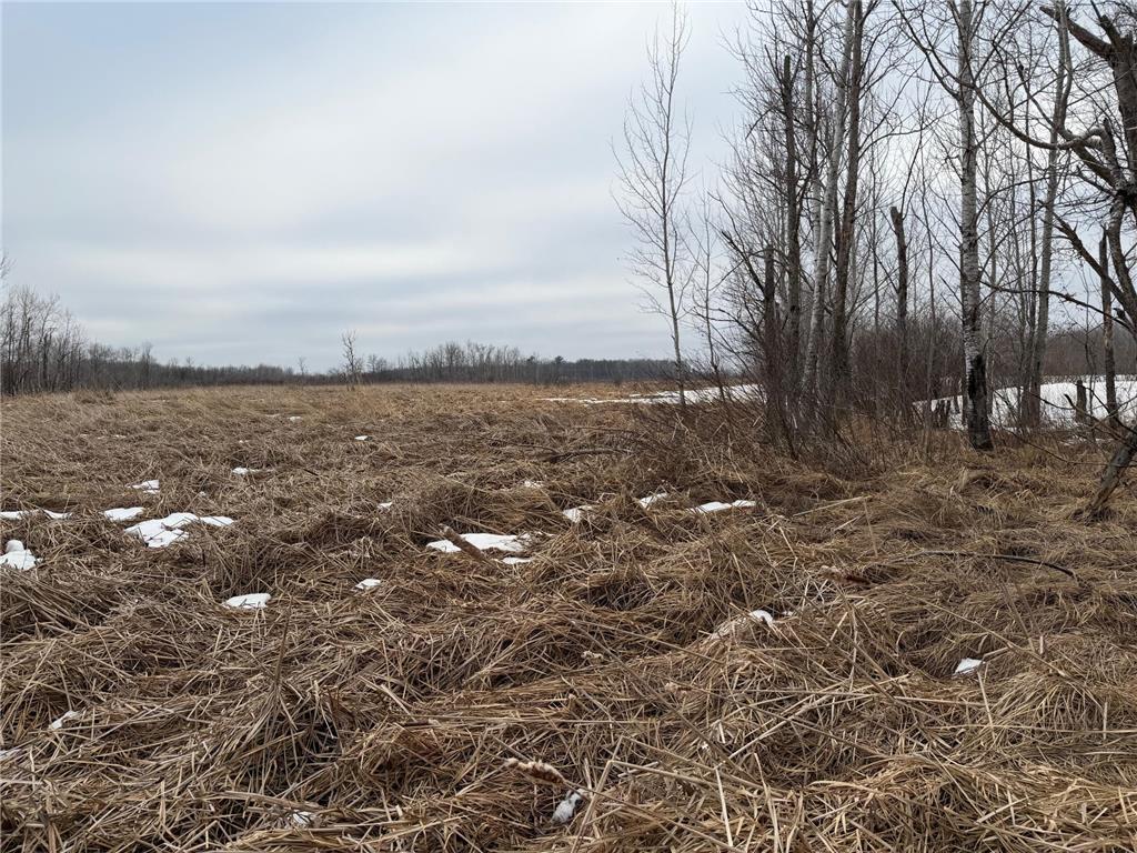 TBD-B 180th Street Borgholm Twp MN 56353 7029939 image30