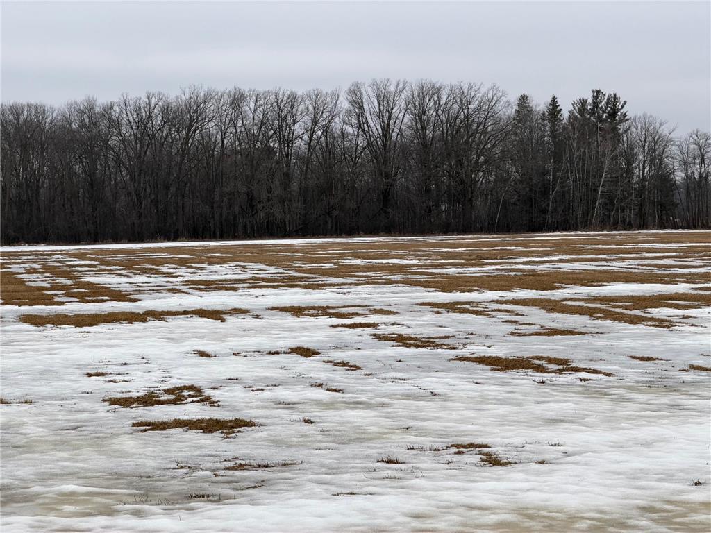 TBD-B 180th Street Borgholm Twp MN 56353 7029939 image32