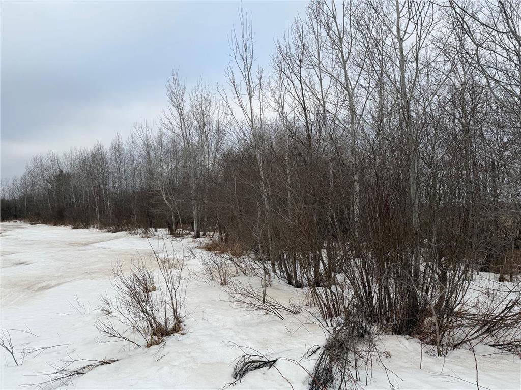 TBD-B 180th Street Borgholm Twp MN 56353 7029939 image35