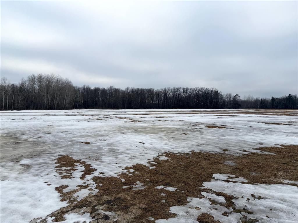 TBD-B 180th Street Borgholm Twp MN 56353 7029939 image37