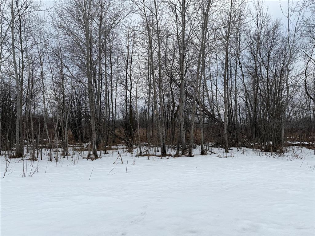TBD-B 180th Street Borgholm Twp MN 56353 7029939 image39