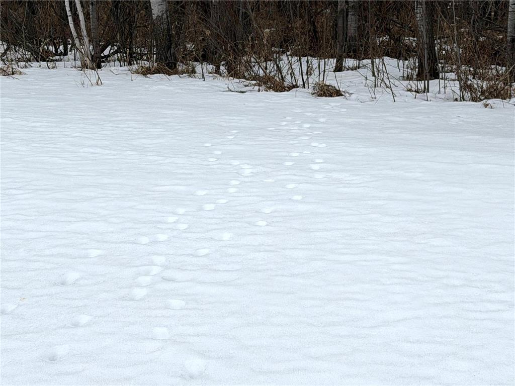 TBD-B 180th Street Borgholm Twp MN 56353 7029939 image4